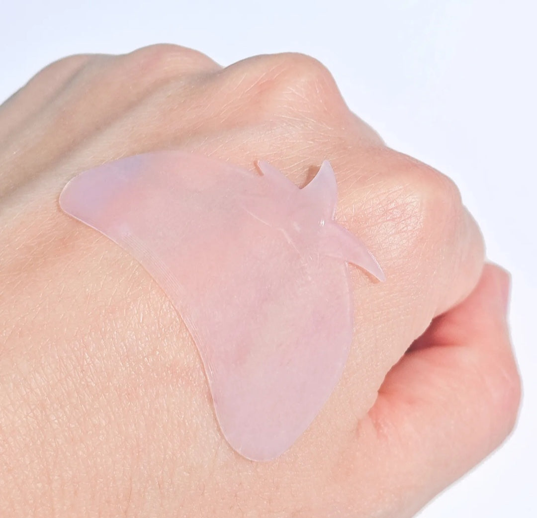 Jelly Starfish- Ultra Thin- Premium Flat Shields
